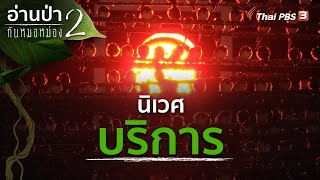 นิเวศบริการ | อ่านป่ากับหมอหม่อง ปี 2