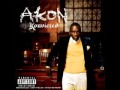 Akon I Wanna Love You Dirty Mp4