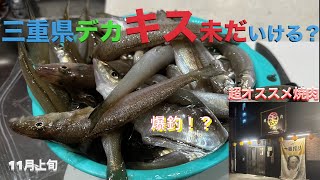 三重県でデカいキスを爆釣！うまい焼肉屋発見！