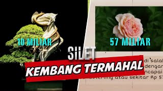 Koleksi 5 Kembang Termahal Ini Bikin Kamu Tercengang! | SILET