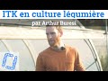 Itinéraires techniques en culture légumière, par Arthur Buresi