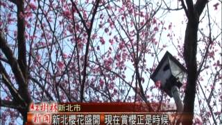 1040204紅樹林有線新聞