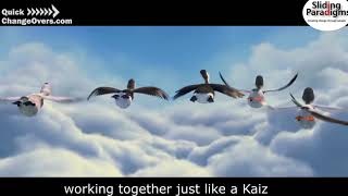 Quick Changeover course Birds of a feather