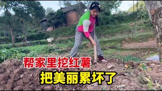 【杨美丽流浪记】扛着锄头下地帮家里挖红薯，累了一天，晚上干了这么大一碗面条