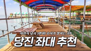 자연식 3만원에 숭어가 나오는 좌대가 있다?! 🐟 당진 좌대낚시 추천