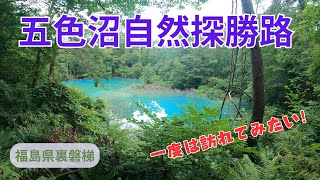 五色沼自然探勝路　福島県裏磐梯　一度は訪れてみたい！