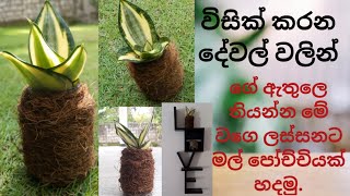 විනාඩි පහෙන් මේ වගෙ ලස්සනට මල් පෝච්චියක් හදමු😮Let's make a flower pot#beautiful