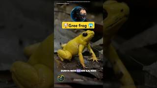 😱हरा मेढ़क 🤯 Fact about Green frog||#facts #sciencefacts #shorts #shortsfeed #goviral