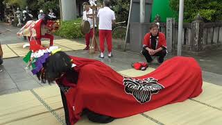 獅子舞一宮東原獅子組獅子舞奉納「２０１９讃岐国一宮田村神社秋祭」