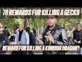 Hadith: 70 rewards for killing a lizard, what's the reward for killing a Komodo Dragon?