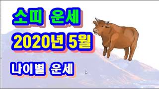 5월 소띠 운세 - 2020년 5월 경자년 신사월 소띠 일진 사주 운세보기