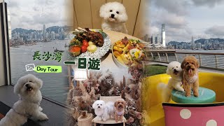 長沙灣海濱花園｜SOHO WEST寵物友善24小時便利店｜兩間寵物友善餐廳分享【小腳掌大世界🐾】