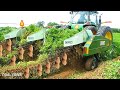 Peanut Harvesting Machine - How to Harvest Peanut in Farm - Modern Agriculture Technology