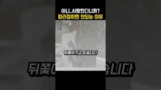 아무리 늦은 밤이라도 잘못된 행동을 제압한 용감한 사람들