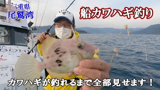 【三重県尾鷲湾】船カワハギ釣りが楽しいシーズンに入ってきました