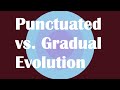 Punctuated Evolution vs Gradual Evolution Explained!