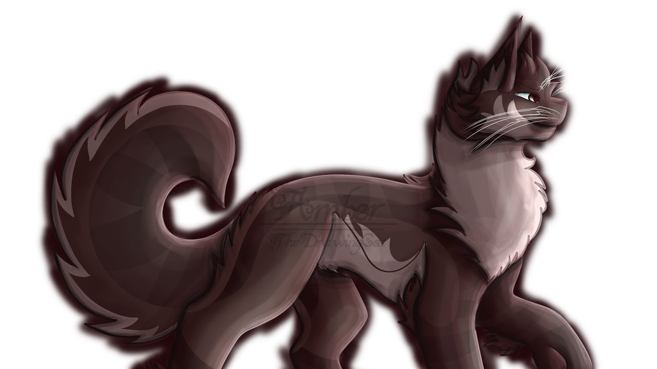 Hawkfrost Redraw 2025 Speedpaint Youtube