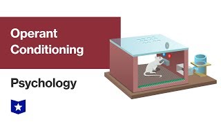 Operant Conditioning | Psychology