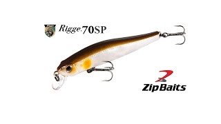 Воблер ZipBaits Rigge. Подводная съемка. Underwater