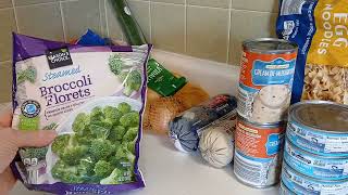 WEEKLY ALDI SHOP! $22.00 WHAT DID I BUY? CHECK IT OUT!