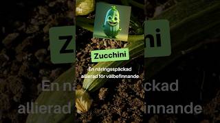 Hälsofördelar med zucchini | Fördelar med zucchini | Zucchini hälsofördelar