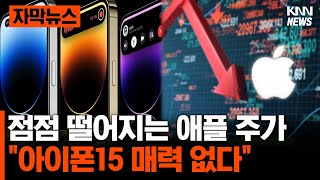 애플 주가 하락, '아이폰15 흥행도 미지수 새 모델 놀랄만한 이슈 없다 #자막뉴스