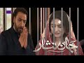 Dua Punchi Jail May Nosherwa Bhi Puncha Jail | Jaan Nisar New Teaser #jaannisar