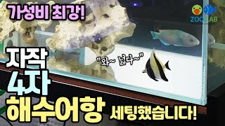 초저렴 4자 자작 FO 해수수조 세팅기, 전체 비용이 얼마일까요?~ 해수어항, 해수어 키우기