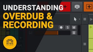 How to use the overdub and recording features on Bitwig tutorial