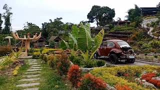 Matutum Blooms Flower Farm