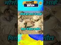 भाई जैसी चीज जगत मे haryanvi ragni rajkishan rajkishan agwanpuria popular video