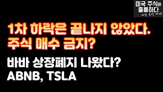 미국주식 1차 하락은 진행중..주식 매수금지? 바바 상장폐지? ABNB, TSLA