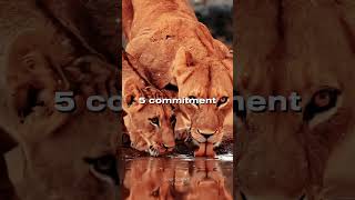 7 Rules oF Relationship #motivation #relationshipadvice #lion #viral #trending #motivationalspeech