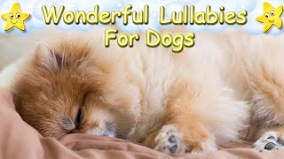 Calming Music For Pomeranian Puppies ♫ Relax Your Pet ♥ Stress Relief For Your Dog