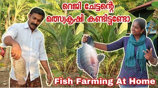 വീട്ടിലെ മത്സ്യ കൃഷി | Fish Farming in house | How To Start Fish Farming At Home | Tilapia Fish farm