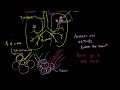 the lungs and pulmonary system health u0026 medicine khan academy