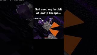 Minecraft Dog Moment 3