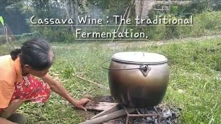 How to Make Cassava Wine | Proses membuat Tapai Ubi Kayu #winelovers #rurallife #villagevlog