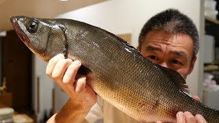 [생선오로시] 급이 다른 농어입니다　Fillet Blackfin Seabass | Blackfin Seabass Sashimi