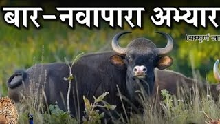 बारनवापारा वन्यजीव अभ्यारण्य Barnawapara Wildlife Sanctuary Chhattisgarh Chhattisgarh Tourist Places