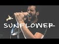 Post Malone, Swae Lee - Sunflower (Spider-Man: Into the Spider-Verse) (Cover by Flight Paths)