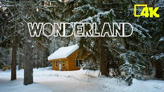 Wonderland Winter 4K - Beautiful Relaxing Music - Nature Relaxation Film - Meditation Music
