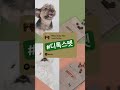 디톡스펫 신상품출시 기념행사 디톡스펫 유행사 애견카페 애견인 shorts