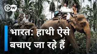 हाथियों को बचाने वाला वॉर्निंग सिस्टम [Elephants are coming – warning system to prevent deaths]