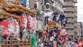 2023.06.24 大阪市平野区 脊戸口町､流町 だんじり 合同曳行【平野郷夏まつり 試験曳き】 令和五年六月二十四日(土)