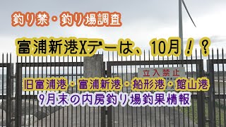 富浦新港の釣り禁止情報。フェンス設置計画は中止か？　9月末の内房釣果情報　旧富浦港・富浦新港・船形港・館山港