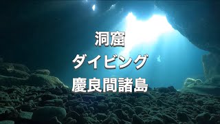 洞窟ダイビング・太陽の光・ディーズパルス沖縄2022 8 21　店