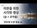 수면유도 명상14 - 이완을 위한 시각화 명상 (숲 + 조약돌)