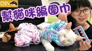 【DIY】幫貓咪做圍巾和披肩,女孩手工針織基本組,後面有貓咪🐱日常[NyoNyoTV妞妞TV玩具]
