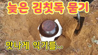 김칫독(김장독) 묻기, 맛있는 김치를 위하여(Traditional way of keeping South Korean kimchi)